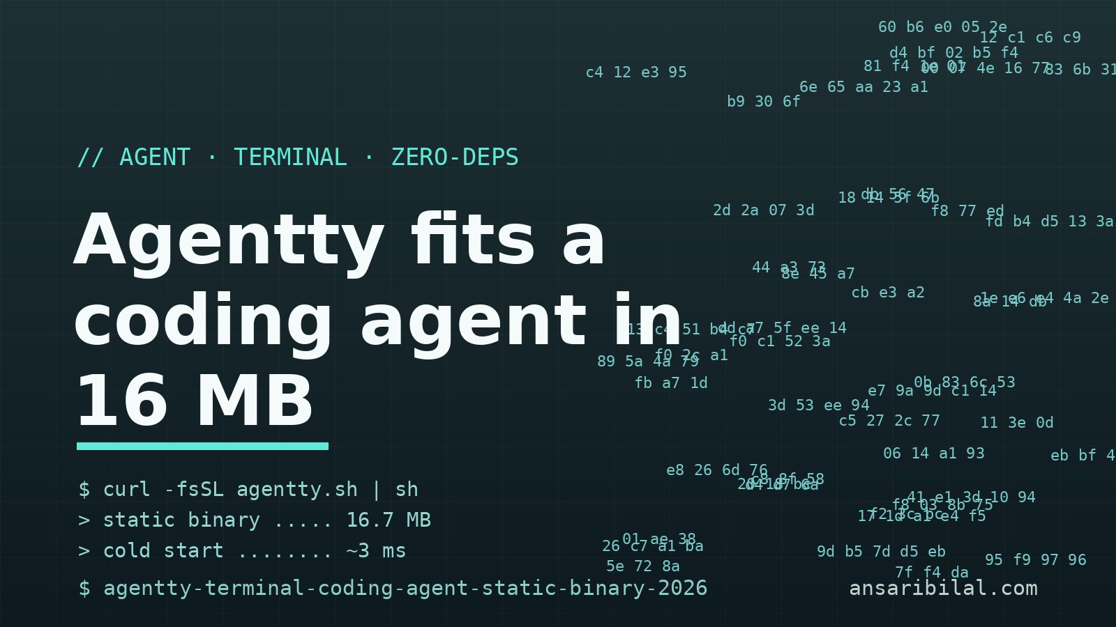 Agentty Puts a Whole Coding Agent in One 16 MB Binary