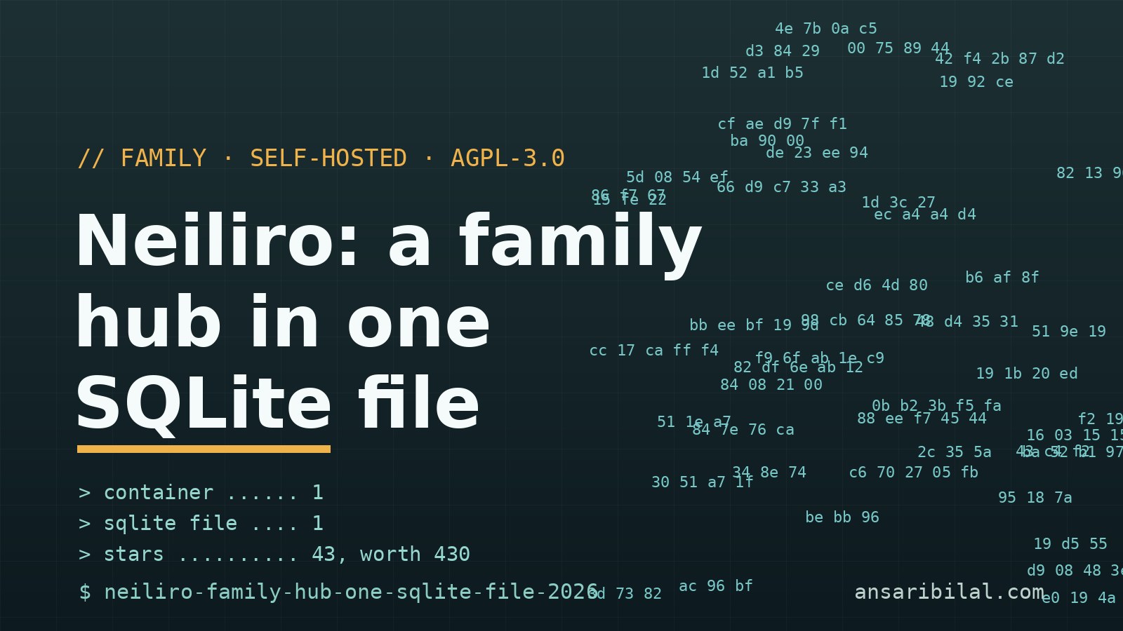 Neiliro Is a Family Hub in One SQLite File (No Subscription)